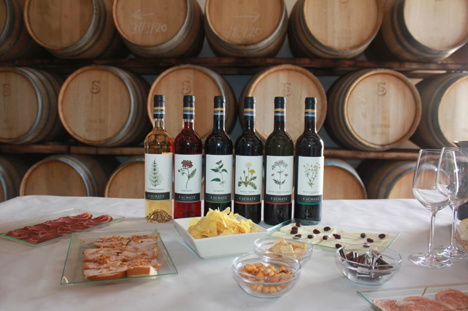 Marbella wine tasting day trip to Ronda at F. Schatz winery with organic wines and barrel cellar